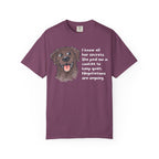 Negotiations are ongoing T-Shirt