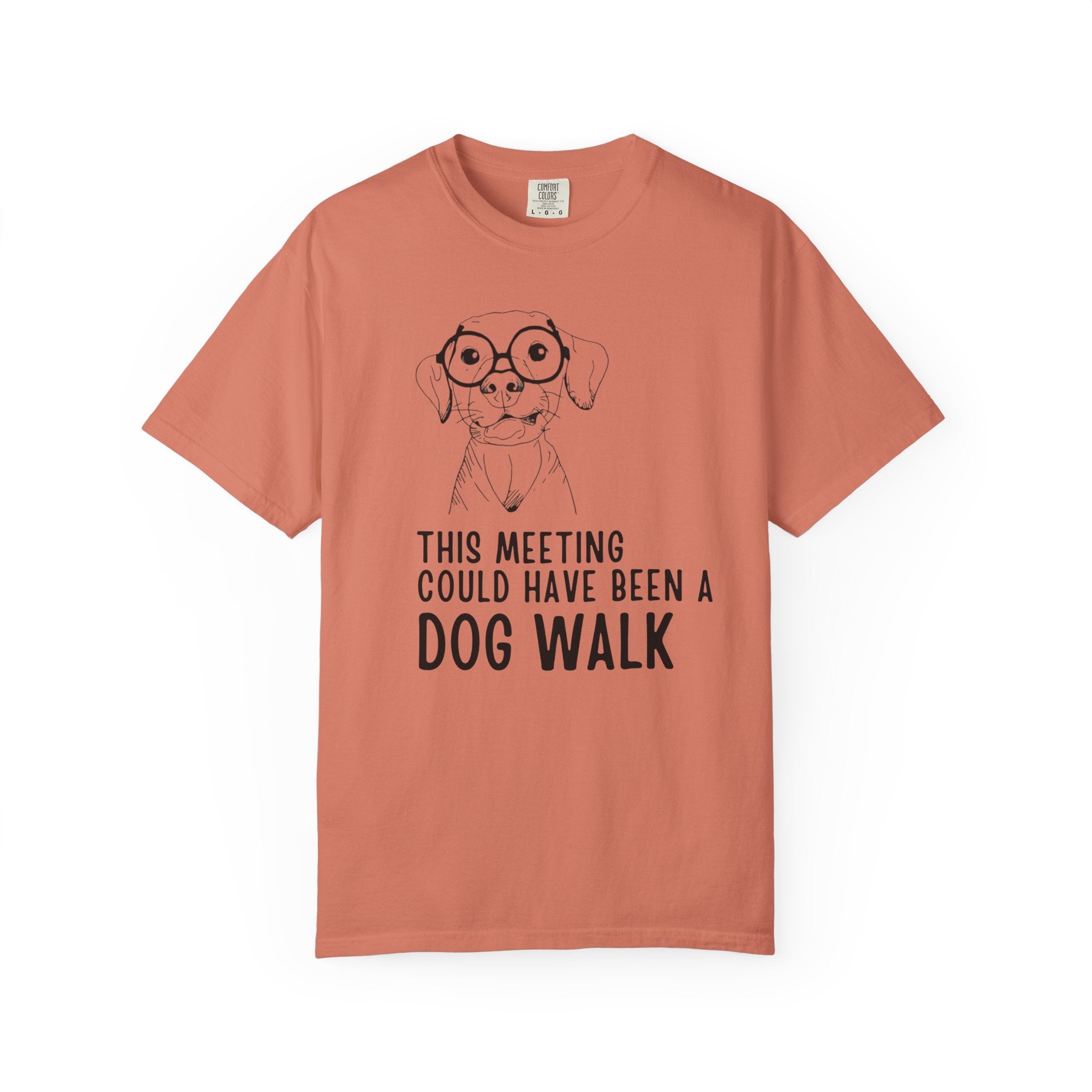 This Meeting Could Have Been A Dog Walk T-Shirt
