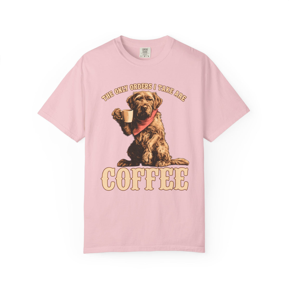 Only Order I take T-Shirt