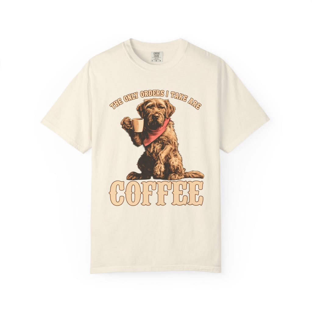 Only Order I take T-Shirt